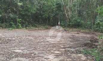 Imagem 4: Terreno com mais de 2.000m2 em condomínio fechado
