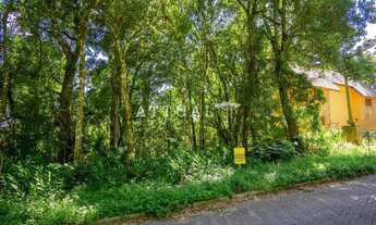 Imagem 3: GRANDE TERRENO NO BAIRRO VILA SUZANA