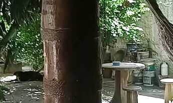 Imagem 2: Oportunidade Casa