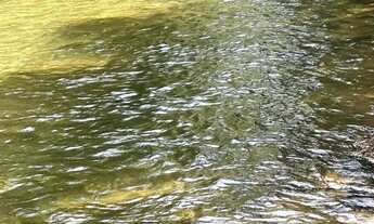 Imagem 5: Chácara chapada