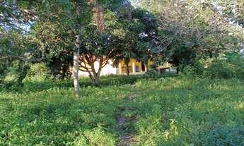 Imagem 6: Vendo fazendinha em coracao de maria