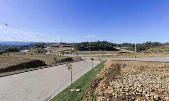 Imagem: FLORES DA CUNHA - Terreno Padrão - VILLA