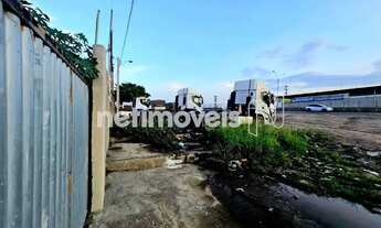 Imagem 3: Terreno pra venda com 330 m²; murado na Avenida Froés da Mota em Feira de Santana