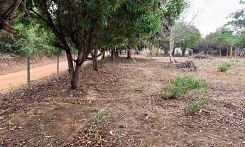 Imagem 5: Chácara com 4.850 metros próximo do centro de caldas 90% murada