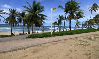 Imagem 7: Grande Oportunidade em Stella Maris