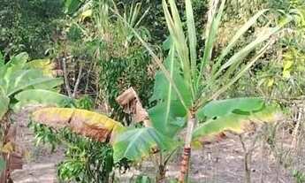 Imagem 4: Chácara pronta para lazer e moradia - São José dos Campos - SP