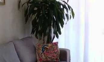 Imagem 3: Casa à venda, 3 quartos, 1 suíte, 4 vagas, Chácaras Alpina - Valinhos/SP