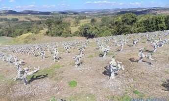 Imagem 7: SÍTIO - MACUCO - SP