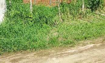 Imagem 3: Terreno no povoado Sapé (Itaporanga