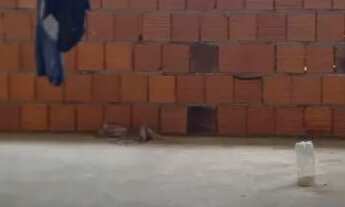 Imagem 13: Ótima casa Casa com 4 dormitórios