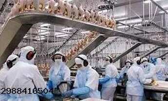 Imagem 2: Especialista nacional em imóveis, hotéis, resorts e grandes ativos