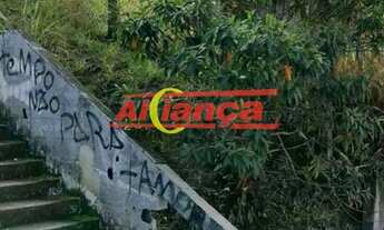 Imagem 5: Terreno - Guararema