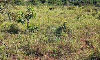 Imagem 4: TERRENO ZONA RURAL ITUIUTABA