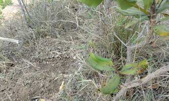 Imagem: Lote a venda