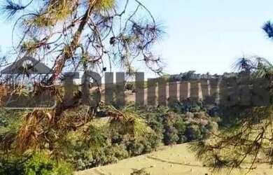 Imagem 7: Haras no Chapadão em Porto Feliz