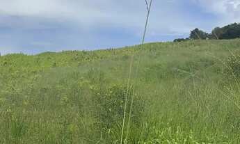 Imagem 7: Terrenos para venda possui 500 metros quadrados em Colégio - Ibiúna - SP
