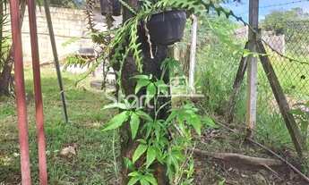 Imagem 7: Chácara - Loteamento Chácaras Gargantilhas - Campinas