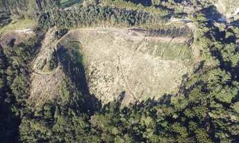 Imagem 3: Chácara formada Campo Magro 56.000² ou 5,6 hectares com casa sede e caseiro