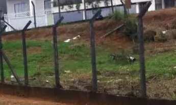 Imagem 3: Lote em Rua Salma - Granja Viana - Cotia/SP