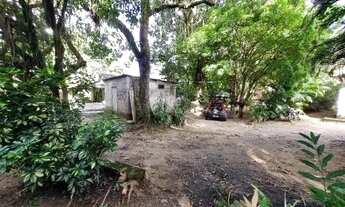 Imagem 4: Terreno/Loteamento à Venda em Vila Progresso