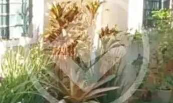 Imagem: CASA 3 QUARTOS -PRONTO PARA MORAR