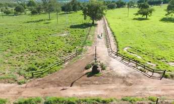 Imagem 5: A JOIA DO TRIÂNGULO MINEIRO: 388 HECTARES DE PURA TECNOLOGIA E PRODUTIVIDADE!