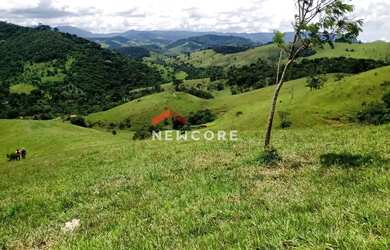 Imagem 7: Lote em estrada das Cerejeiras - Barreiro - Santo Antônio do Pinhal/SP