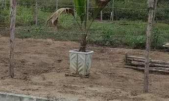 Imagem 6: Terreno em são José