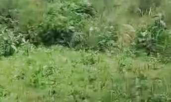 Imagem 3: Área Rural para formação de chácara