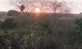 Imagem 3: Vende-se chácara de 9.800mts em Vianopolis