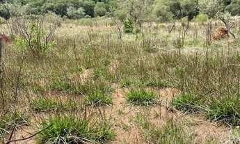 Imagem 5: 10. OPORTUNIDADE DE OURO: TERRENOS À VENDA NO INTERIOR DE SÃO PAULO