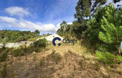 Imagem 5: Terreno à venda, 800 m² por R$ 120.000,00 - Vila Queimados - Mandirituba/PR