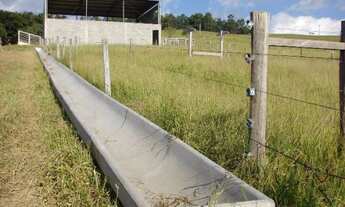 Imagem 6: Sorocaba Região Fazenda 90 Hectares