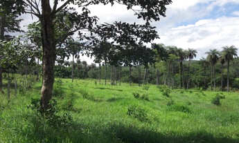Imagem 2: Fazenda de 100 ha, a 500m do asfalto/Jaboticatubas (Temos varias opções