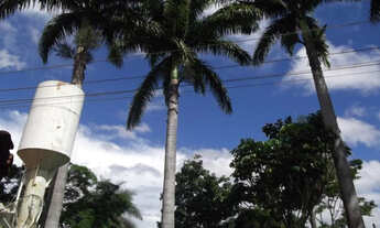 Imagem 4: Fazenda de 100 ha, a 500m do asfalto/Jaboticatubas (Temos varias opções