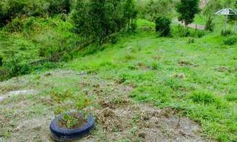 Imagem 5: Oferta linda chácara a venda em Delfim Moreira sul de MG