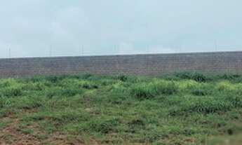 Imagem 2: Lote/Terreno para venda tem 300 metros quadrados em Vila Pagano - Valinhos - SP