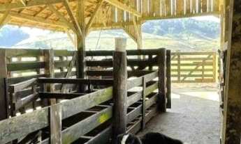 Imagem 3: Chacara Espetacular em Guaramirim