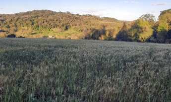 Imagem 3: Vendo chácara de 9.600m²