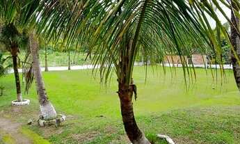 Imagem 7: Fazenda/Sítio/Chácara para venda tem 350 metros quadrados com 2 quartos