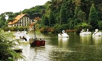 Imagem 4: Gramado - Apartamento Padrão - Avenida Central