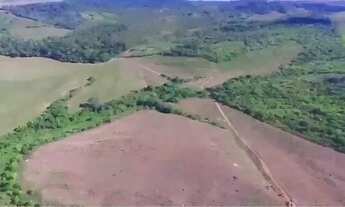 Imagem 4: Fazenda em Japoatã, 789 tarefas, ideal para para milho, cana e criação de animais