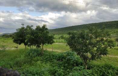 Imagem 3: Vendo / Permuto 50, 100 ou 200 hectares em São José da Mata/ Campina Grande