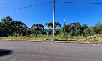 Imagem 4: Gramado - Terreno Padrão - Dutra