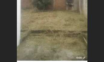 Imagem 1: Casa por 75 mil Casa com 1 dormitório