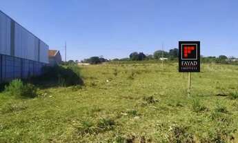 Imagem 2: Periquitos - Vila Romana