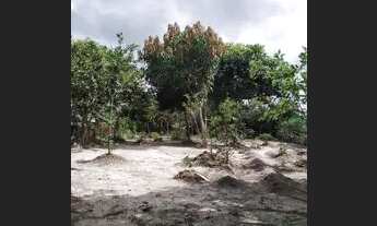 Imagem 7: Vende-se sítio em Alcântara MA