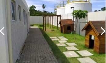 Imagem 5: Aluga-se c/ condomínio e água incluso