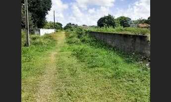 Imagem 3: 2 lotes na praia de Catuama