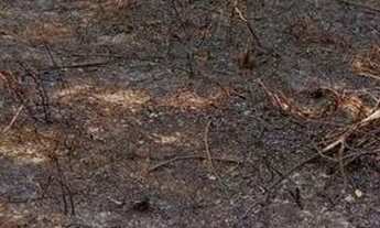 Imagem 4: Terreno em Iranduba 14x22 aceito proposta